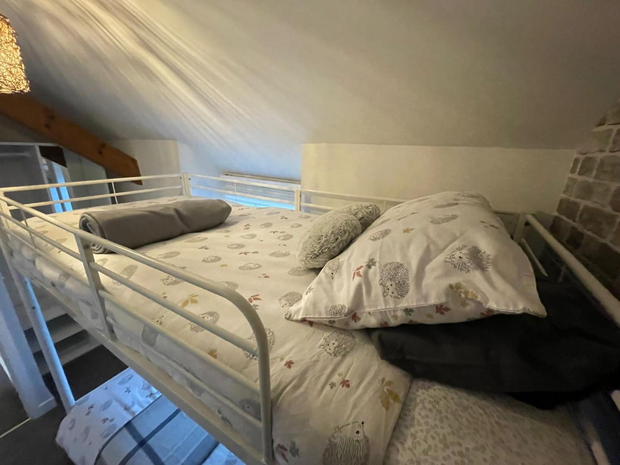 Cosy 2 Bedroom Cottage Llanuwchllyn 외부 사진
